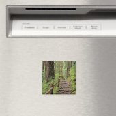 WA, Olympic NP, Sol Duc Valley, Regenwald Magnet (In Situ (Geschirrspüler))