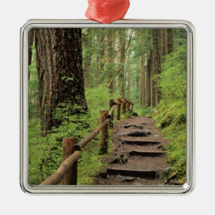 WA, Olympic NP, Sol Duc Valley, Regenwald Silbernes Ornament
