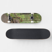 WA, Olympic NP, Sol Duc Valley, Regenwald Skateboard (Horizontal)