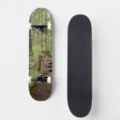 WA, Olympic NP, Sol Duc Valley, Regenwald Skateboard (Vorderseite)