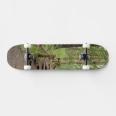 WA, Olympic NP, Sol Duc Valley, Regenwald Skateboard (Horizontal)