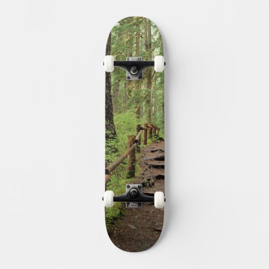 WA, Olympic NP, Sol Duc Valley, Regenwald Skateboard (Vorderseite)
