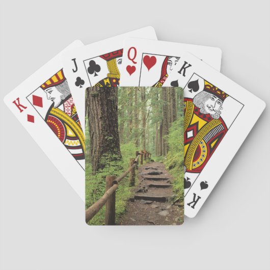 WA, Olympic NP, Sol Duc Valley, Regenwald Spielkarten (Rückseite)