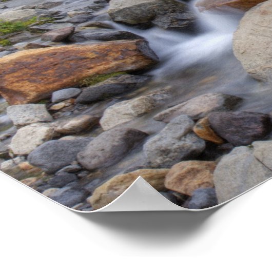 WA, Rainier National Park, Edith Creek Poster (Ecke)