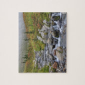 WA, Rainier National Park, Edith Creek Puzzle (Vertikal)