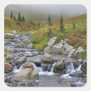 WA, Rainier National Park, Edith Creek Quadratischer Aufkleber