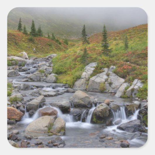 WA, Rainier National Park, Edith Creek Quadratischer Aufkleber (Vorderseite)