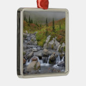 WA, Rainier National Park, Edith Creek Silbernes Ornament (Rechts)