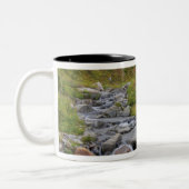 WA, Rainier National Park, Edith Creek Zweifarbige Tasse (Links)