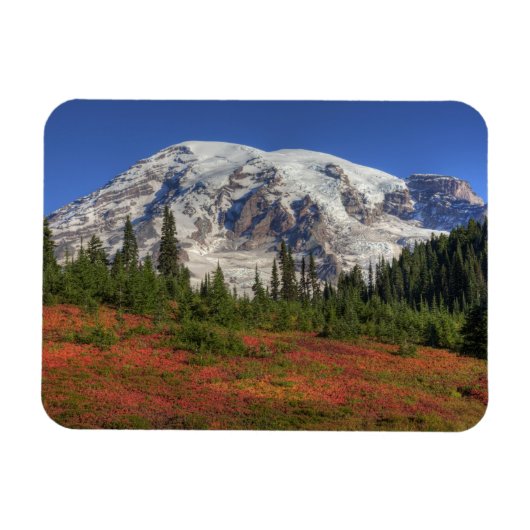 WA, Rainier National Park, Paradise Valley Magnet (Horizontal)