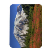 WA, Rainier National Park, Paradise Valley Magnet (Vertikal)