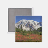 WA, Rainier National Park, Paradise Valley Magnet (Vorderseite/Rückseite)