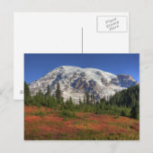 WA, Rainier National Park, Paradise Valley Postkarte (Vorne/Hinten)