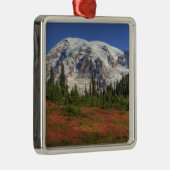 WA, Rainier National Park, Paradise Valley Silbernes Ornament (Rechts)