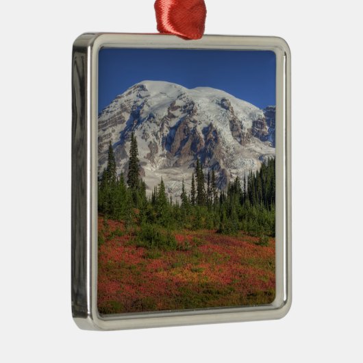 WA, Rainier National Park, Paradise Valley Silbernes Ornament (Rechts)