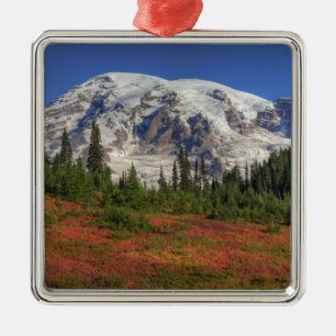 WA, Rainier National Park, Paradise Valley Silbernes Ornament