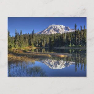 WA, Rainier National Park, Rainier Postkarte