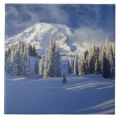 WA, Rainier NP, Rainier und Paradise Fliese (Vorderseite)