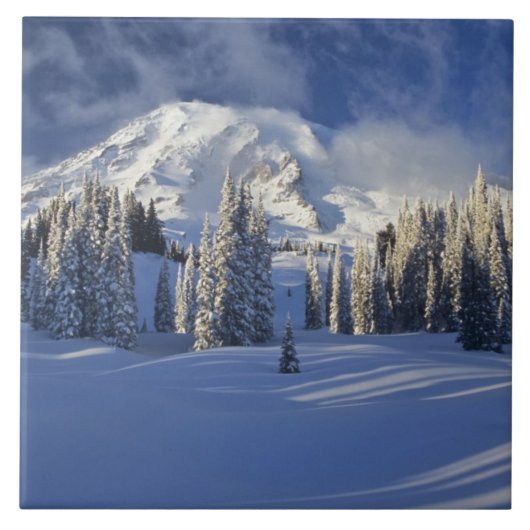 WA, Rainier NP, Rainier und Paradise Fliese (Vorderseite)