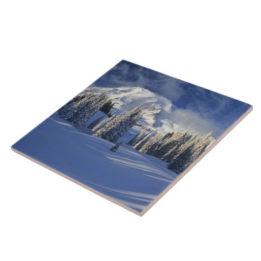 WA, Rainier NP, Rainier und Paradise Fliese (Seite)