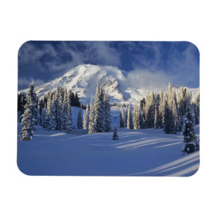 WA, Rainier NP, Rainier und Paradise Magnet