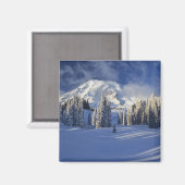 WA, Rainier NP, Rainier und Paradise Magnet (Vorderseite/Rückseite)
