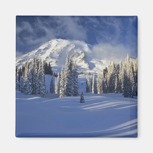 WA, Rainier NP, Rainier und Paradise Magnet (Vorne)