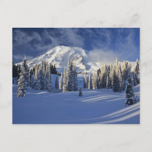 WA, Rainier NP, Rainier und Paradise Postkarte