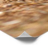 WA, Redmond, Eastern Cottontail Babyhase Poster (Ecke)