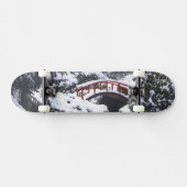 WA, Seattle, Moon-Brücke und Teich nach Winter 2 Skateboard (Horizontal)