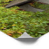 WA, Seattle, Washington Park Arboretum, 2 Poster (Ecke)