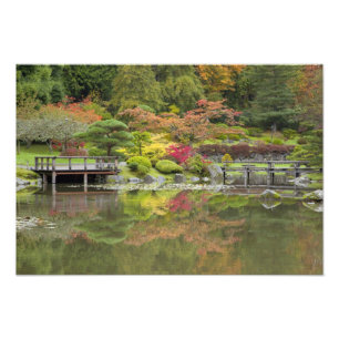 WA, Seattle, Washington Park Arboretum, 3 Fotodruck