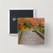 WA, Seattle, Washington Park Arboretum, Button (Vorne & Hinten)
