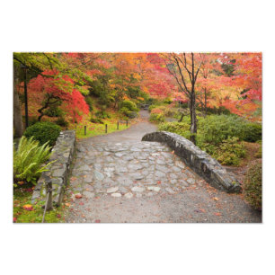WA, Seattle, Washington Park Arboretum, Fotodruck