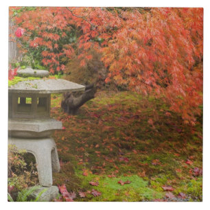WA, Seattle, Washington Park Arboretum, Japanisch Fliese