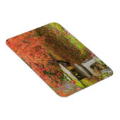 WA, Seattle, Washington Park Arboretum, Japanisch Magnet (Rechte Seite)