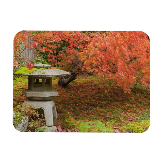 WA, Seattle, Washington Park Arboretum, Japanisch Magnet (Horizontal)