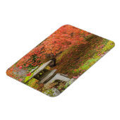 WA, Seattle, Washington Park Arboretum, Japanisch Magnet (Linke Seite)