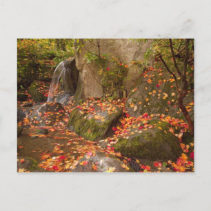 WA, Seattle, Washington Park Arboretum, Japanisch Postkarte