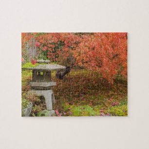 WA, Seattle, Washington Park Arboretum, Japanisch Puzzle