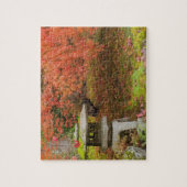 WA, Seattle, Washington Park Arboretum, Japanisch  Puzzle (Vertikal)