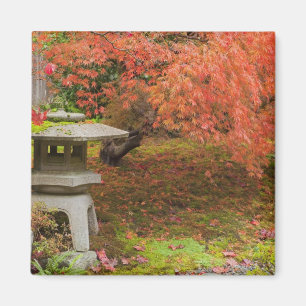WA, Seattle, Washington Park Arboretum, Japanische Magnet