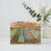 WA Skagi Valley Tulip Fields Spring Dreaming Postkarte (Stehend Vorderseite)