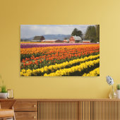 WA, Skagit Valley, Blütenfelder, Tulip Leinwanddruck (Insitu (Wohnzimmer))
