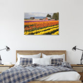 WA, Skagit Valley, Blütenfelder, Tulip Leinwanddruck (Insitu (Schlafzimmer))