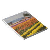 WA, Skagit Valley, Blütenfelder, Tulip Notizblock (angewinkelt)