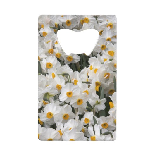 WA, Skagit Valley, Daffodil-Muster Geldkarten Flaschenöffner (Vorderseite)