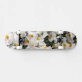WA, Skagit Valley, Daffodil-Muster Skateboard (Horizontal)