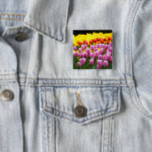 WA, Skagit Valley, Roozengaarde Tulip Garden, 2 Button (Beispiel)