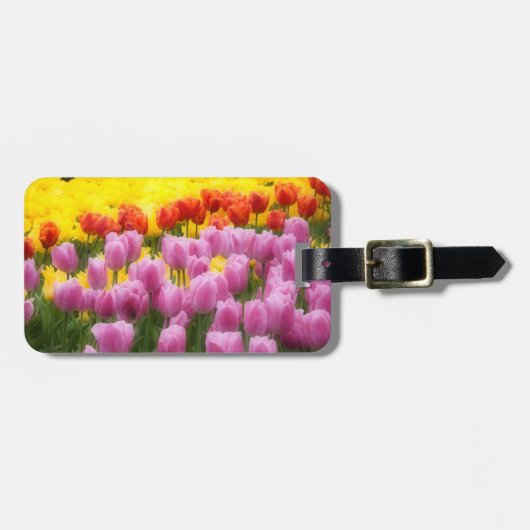 WA, Skagit Valley, Roozengaarde Tulip Garden, 2 Gepäckanhänger (Vorderseite horizontal)